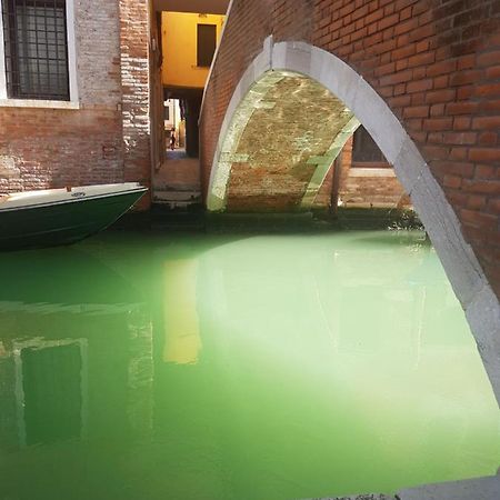 The Secret Garden In The Very Heart Of 베니스 외부 사진